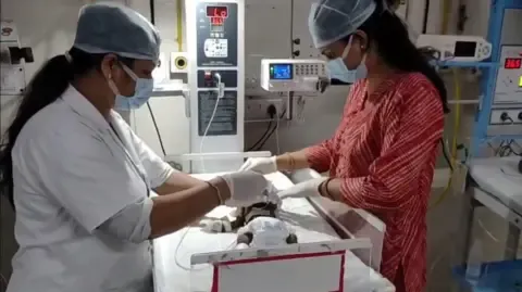 Newborn Interred Alive in the Country Fights for Survival