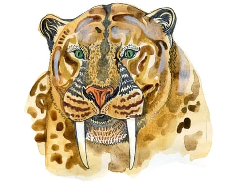 Children's Quiz: Exploring Curious Queries Regarding Nature